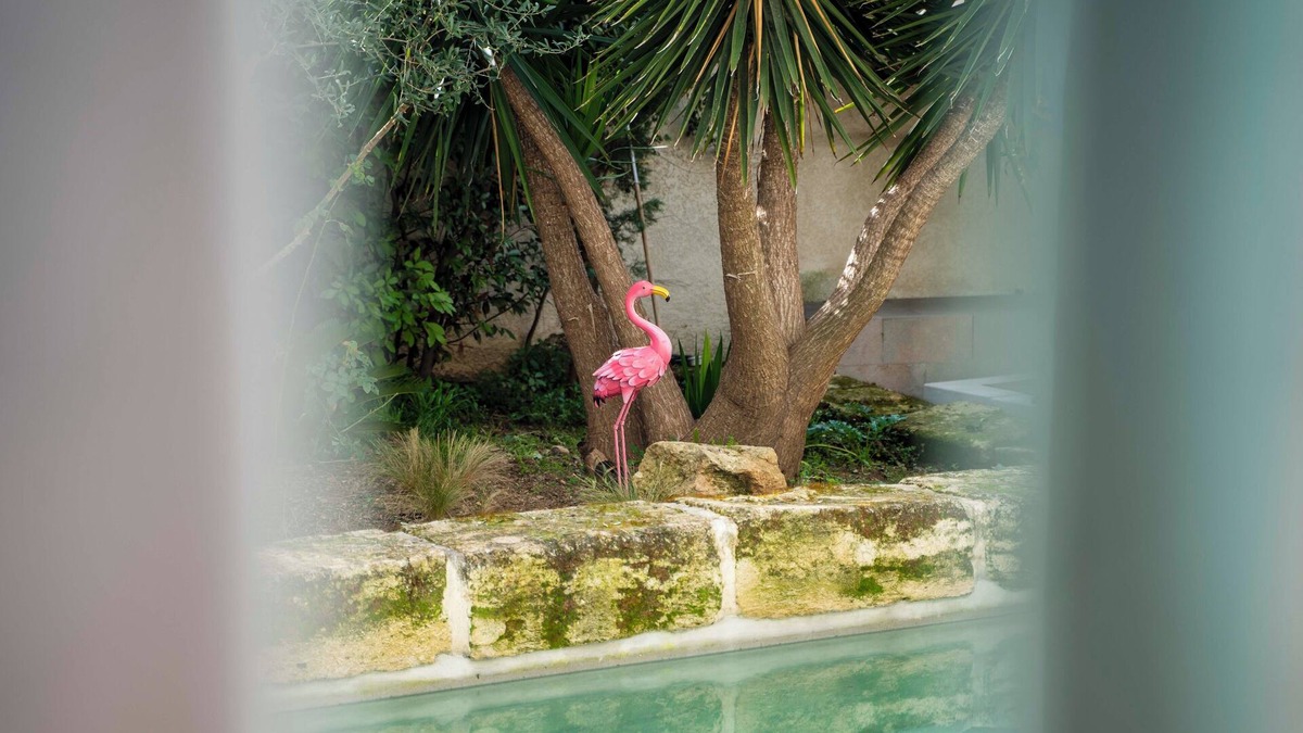 Cadereau Apartment | La Provence downtown, Swimming pool, Garden, Terrace