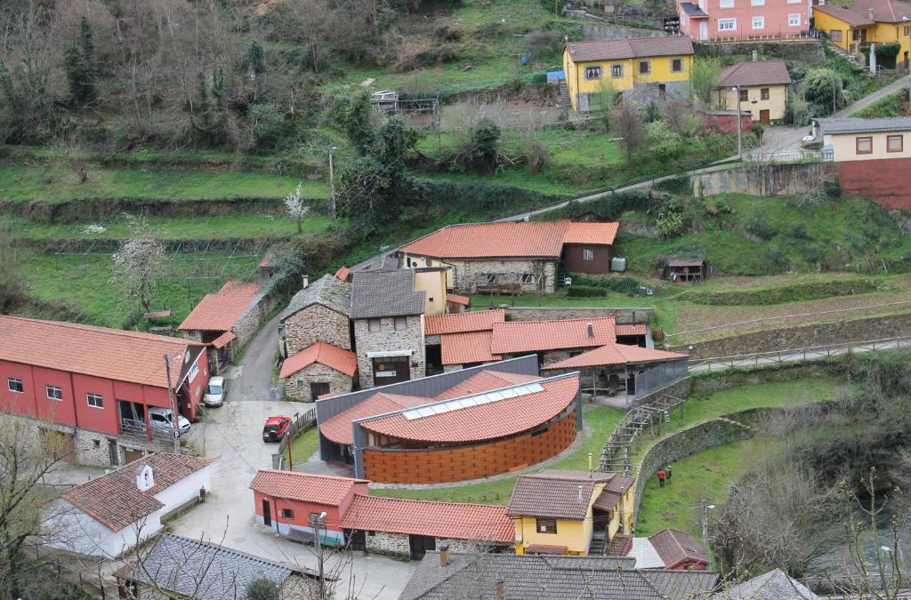 Cangas de Narcea Apartment | La Puchera
