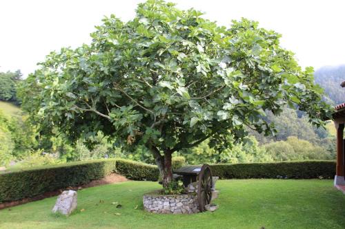 Sinariega House | La Quintana Sinariega