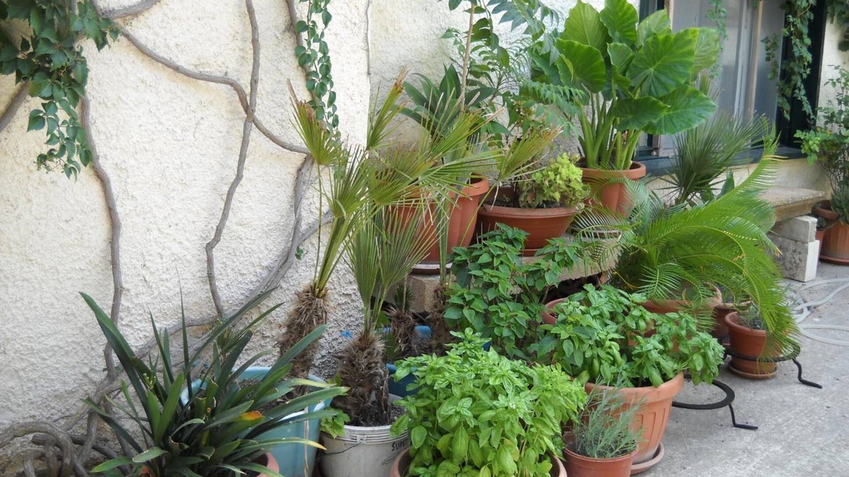 Sambuca di Sicilia Bed & Breakfast | La Regina di Adrano