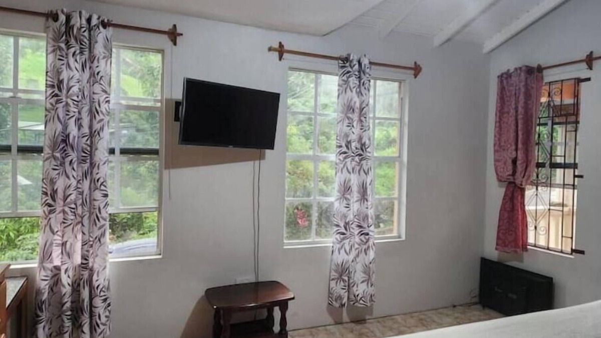 Kingstown Apartment | La Reve Royale: A Nature Escape
