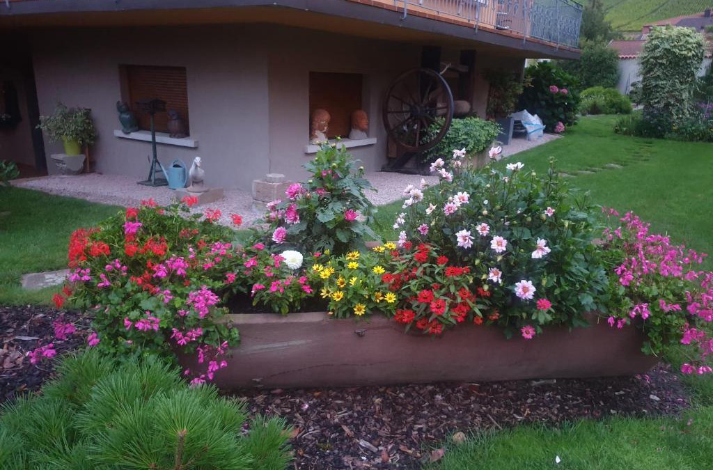 Andlau Apartment | La rocatelle