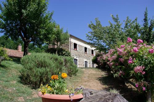 Soveria Mannelli House | La Rosa Nel Bicchiere