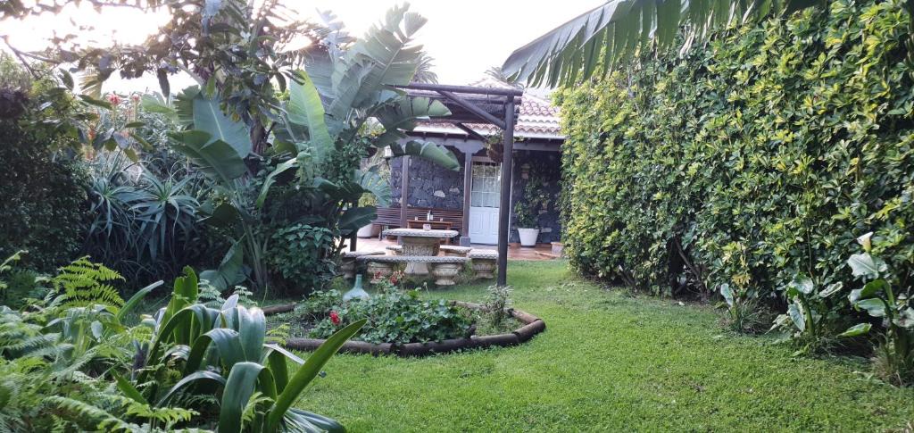Brena Alta House | La Sabana