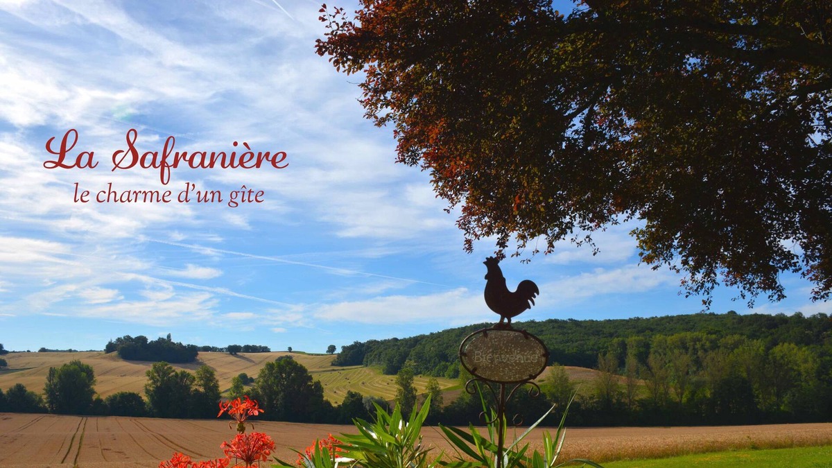 Lagraulet-Saint-Nicolas House | La Safranière - the charm of a gîte