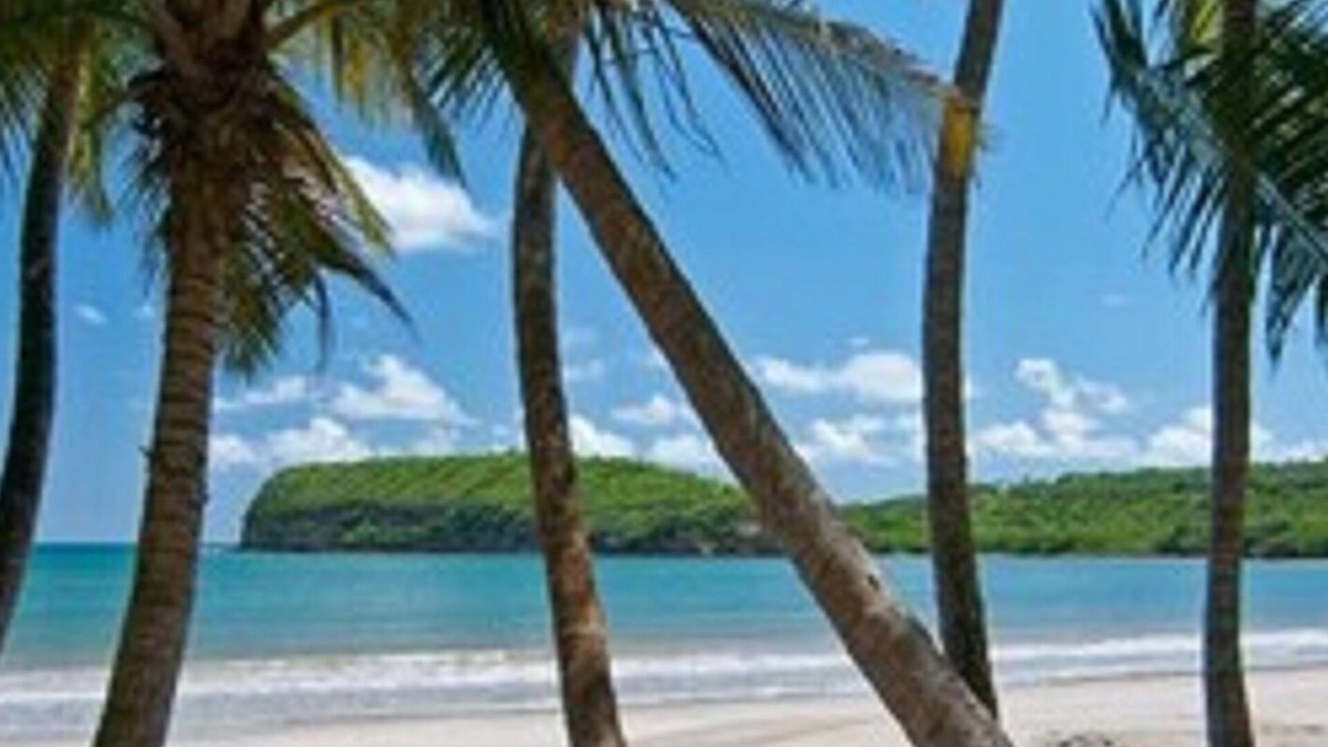 Saint David's Hotel | La Sagesse Hotel