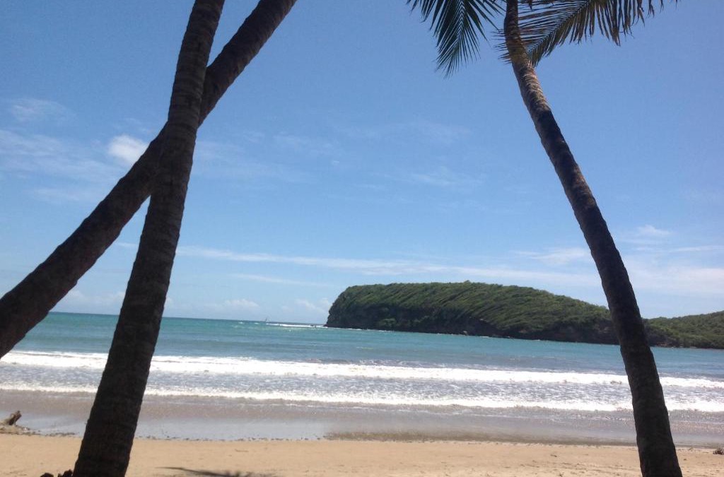 Saint David's Hotel | La Sagesse Hotel, Restaurant and Beach Bar
