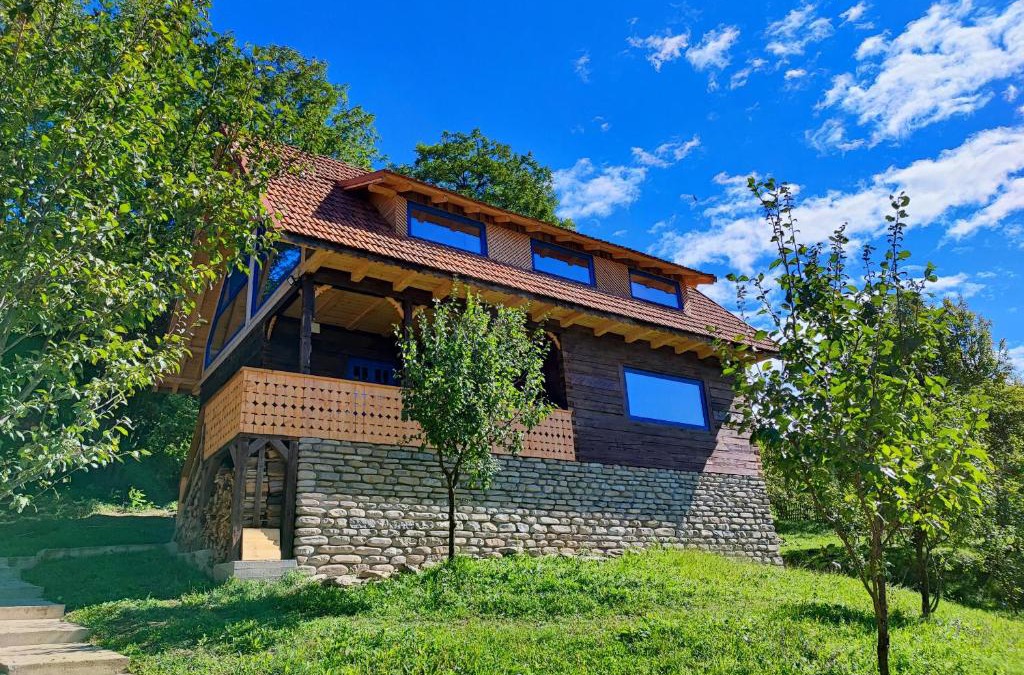 Bertea House | La sat - Radu Dragu