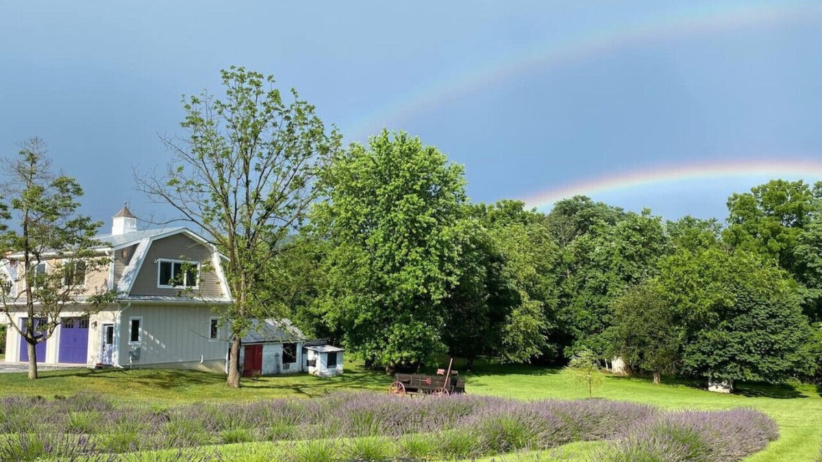 Harpers Ferry Other | La Soledad Lavender Farm on the Potomac