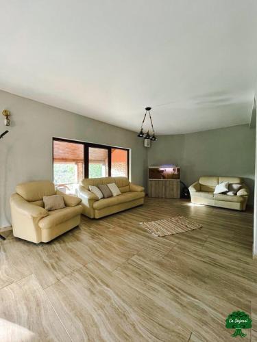 Dej Villa | La Stejaru