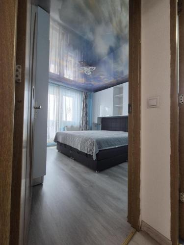 Medias Apartment | La SuperFlo