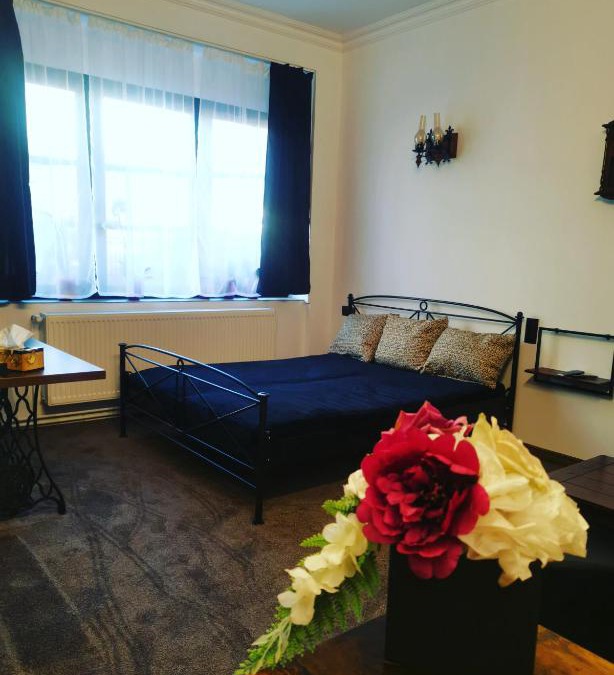 Satu Mare Apartment | La teatroom