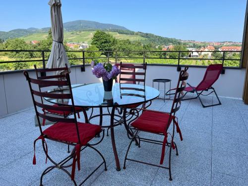 Barr Apartment | La Terrasse du Vignoble - Garage et parking privatifs