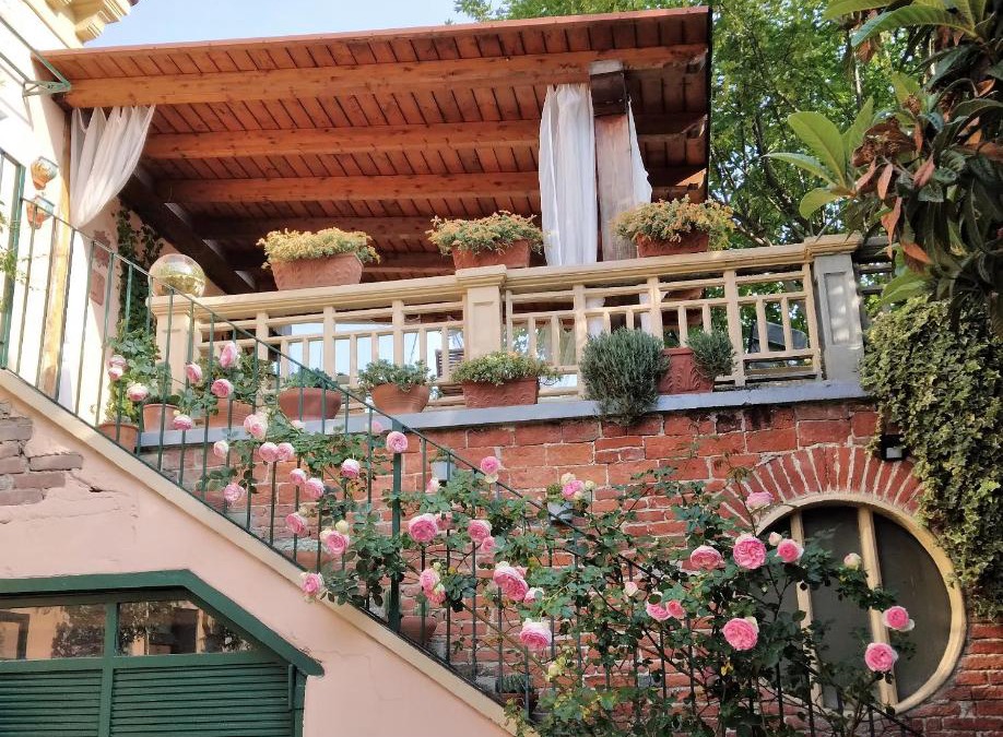 Ozzano Monferrato Apartment | La Terrazza sul Monferrato