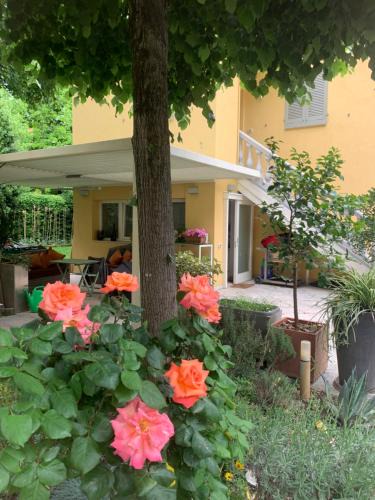 Old Town House | La tua casa con giardino a 2 passi dal centro