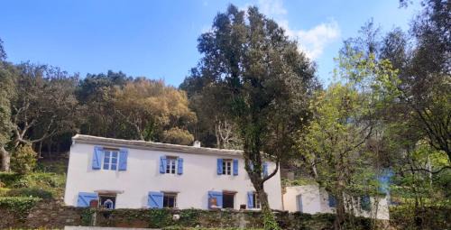 Luri Villa | La vagolo