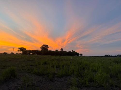 Gowland House | La victoria ranch horse