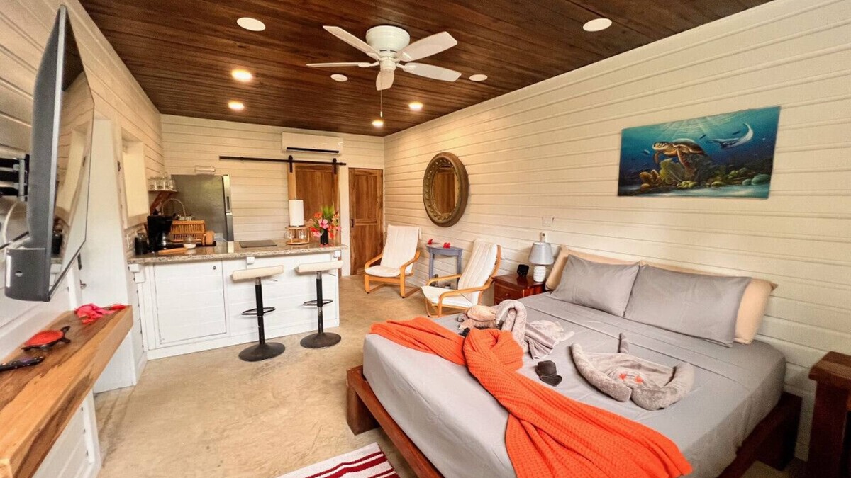 Caribbean Way House | La Vida Belize Studio an Affordable Property Just steps from the Beach