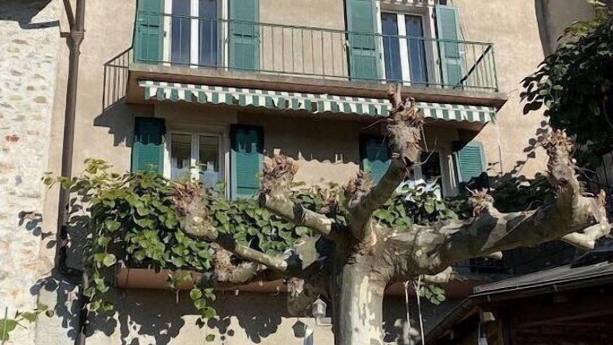 Arlesheim House | La Vigneronne, uitzicht op het meer