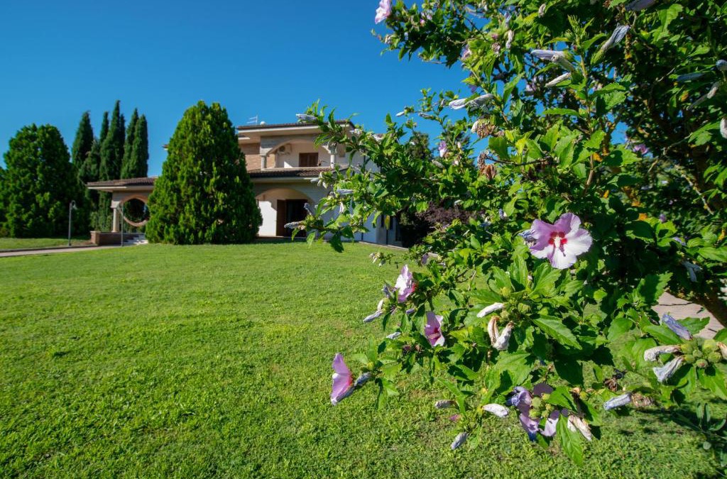 Corfinio Apartment | La Villa dei Tartufi - B&B