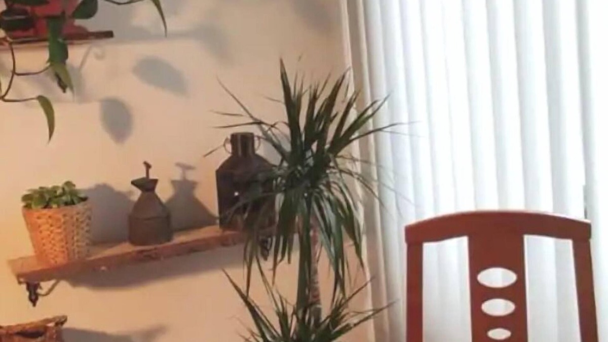 Lagostelle Apartment | La Villa es Bella