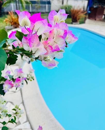 Matoury House | La Villa Louisia