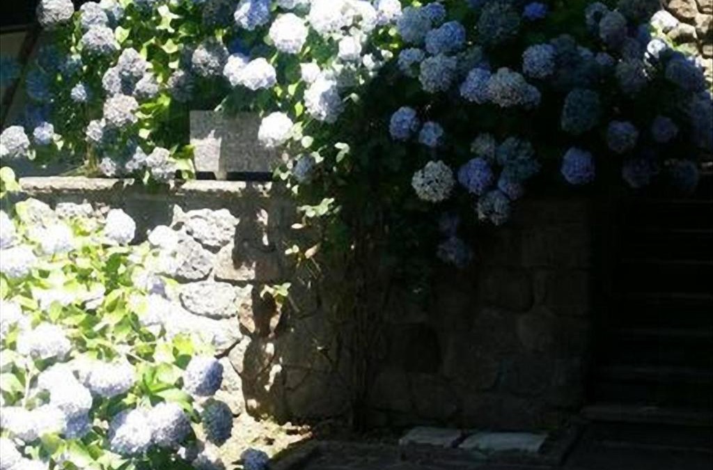 Vivo dʼOrcia Apartment | La Villetta In Montagna