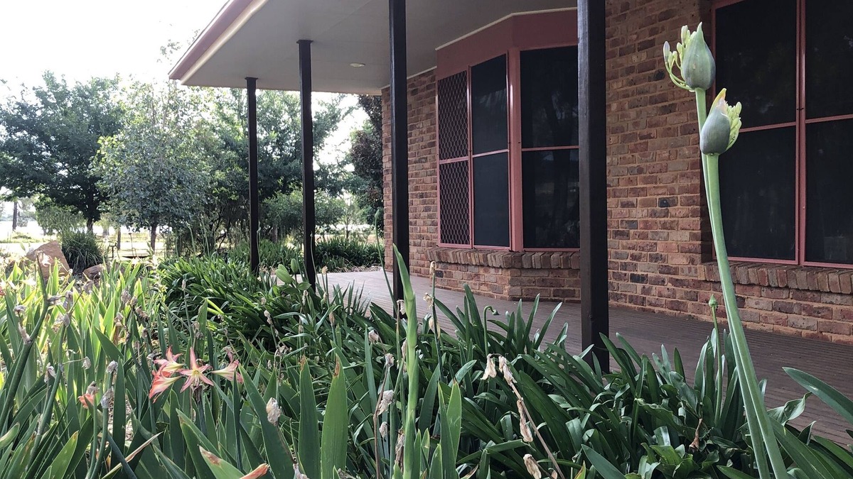 Dubbo Apartment | Labanna Retreat Peaceful, safe, rural setting
