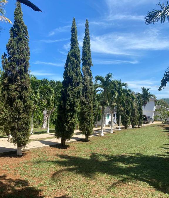Epworth House | Lachemar Guest House