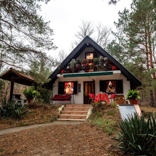 Banatski Karlovac Cabin | Ladybird Lodge