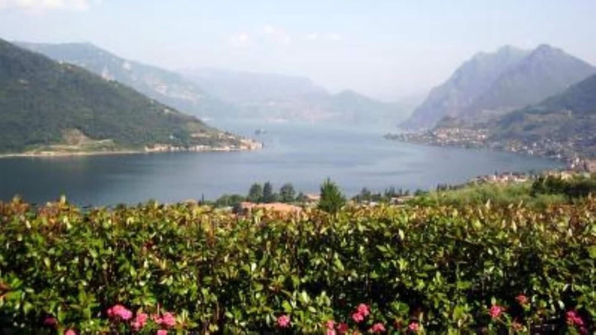 Sale Marasino Apartment | Lago d'Iseo-flat,private garden in residence with swimmimngpool
