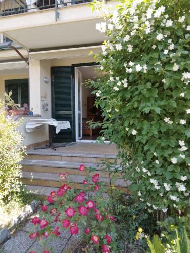 Dervio House | lago dorato