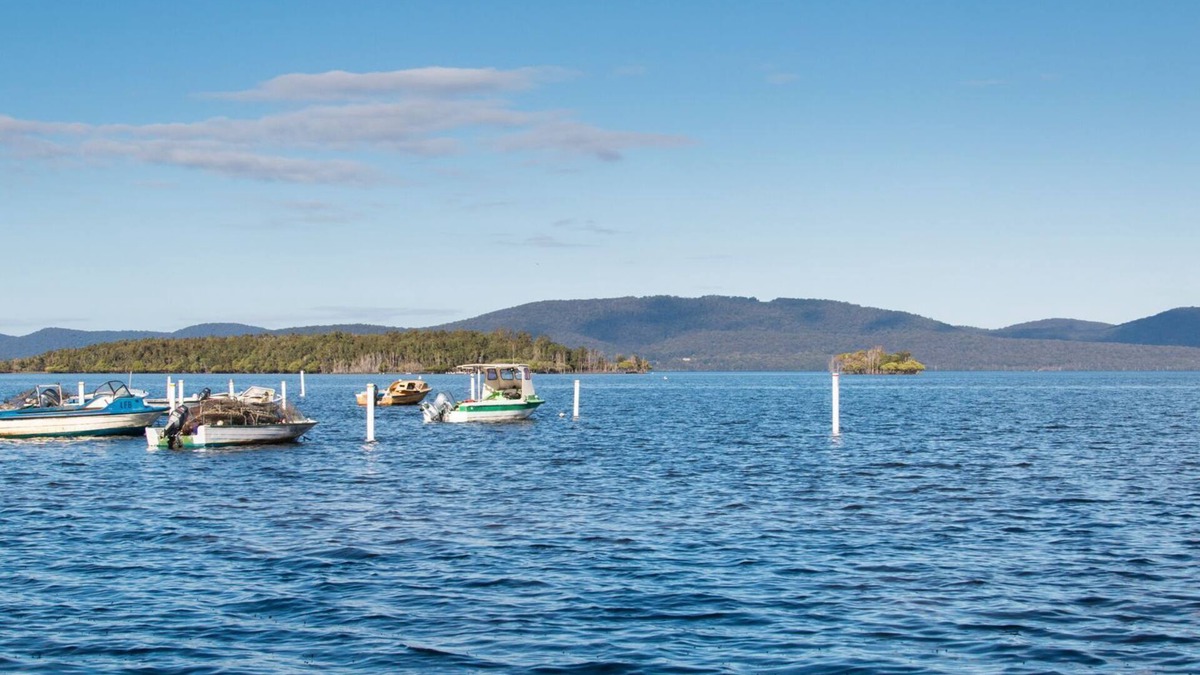 Green Point House | Laguna house just 100 metres from Wallis lake