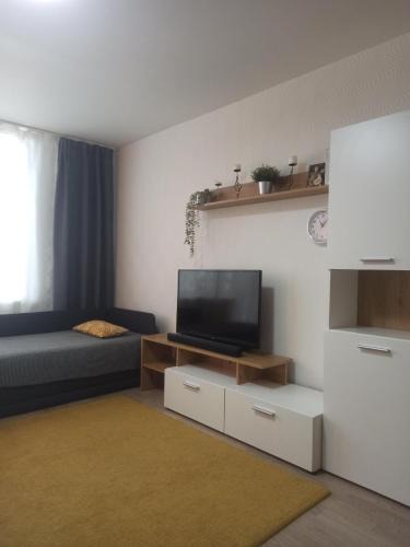 Visaginas Apartment | Lake apartment