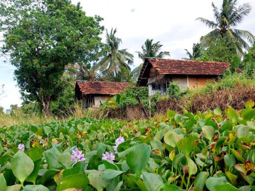 Polonnaruwa House | Lake Cabin
