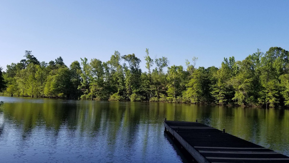 Negreet House | LAKE EFFECTS - WATERFRONT w/PIER & FIRE PIT, WIFI, BEAUTIFUL & PEACEFUL 3BR/2BA