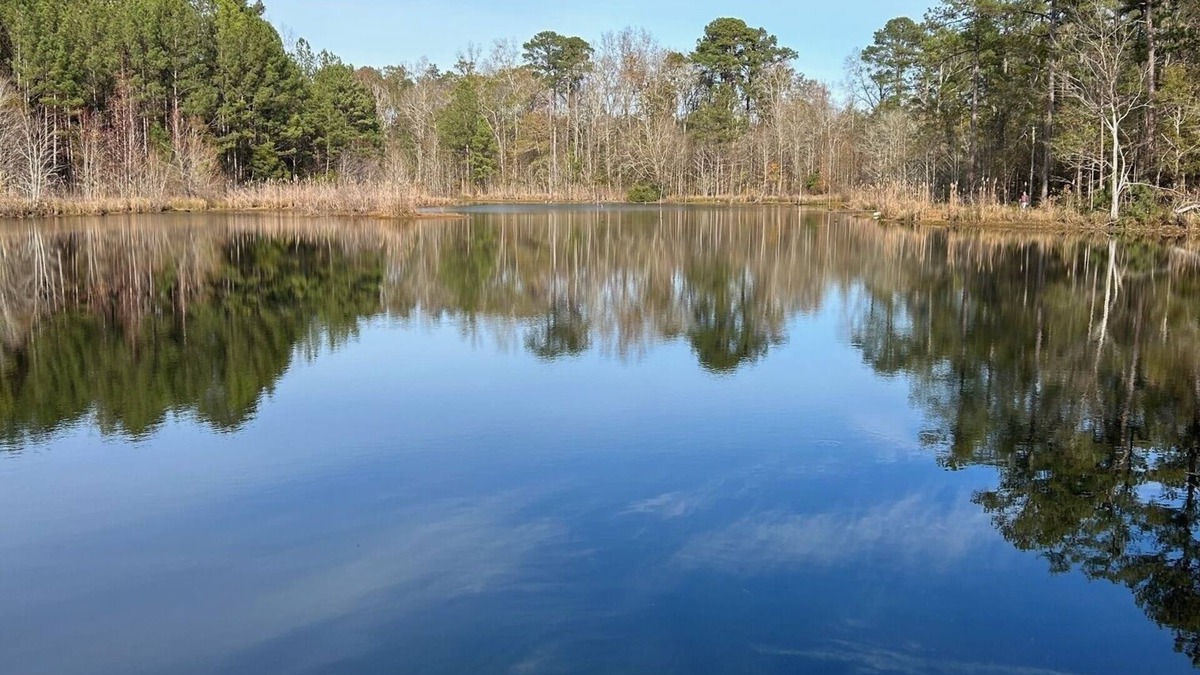 Georgia Coast House | Lake Escape! This secluded house on a private lake is the perfect get away.