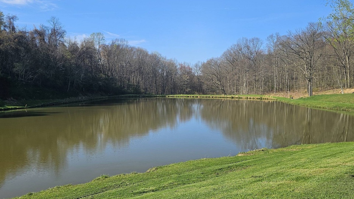 Wendel Cottage | LAKE FRONT @ EDENTON RUSTIC RETREAT! Enjoy this quiet lake stay. Fish & Swim.