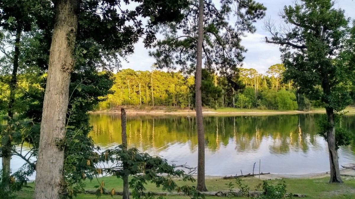 Zavalla House | Lake Front/Great Views/Direct Lake Access Sanitized between visits