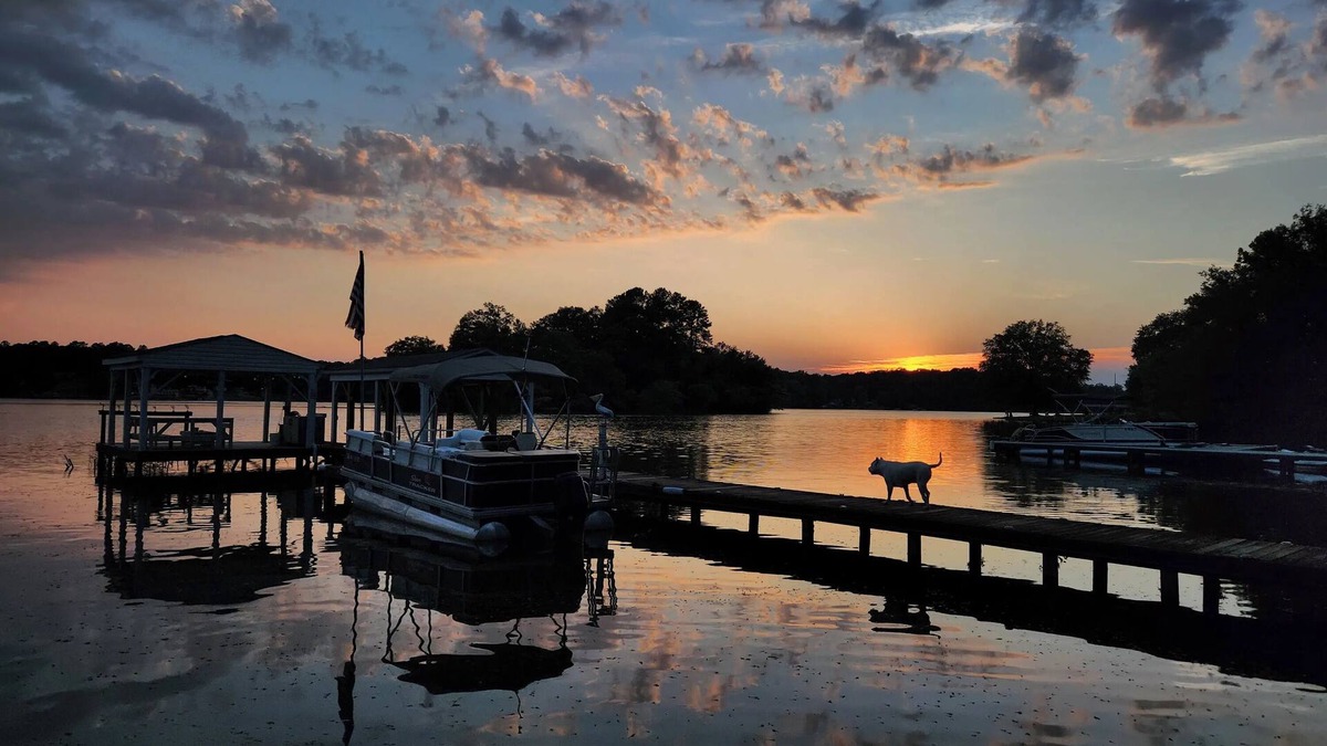 Waterloo Cottage | Lake Greenwood Guesthouse-Bring your boat and your pup!