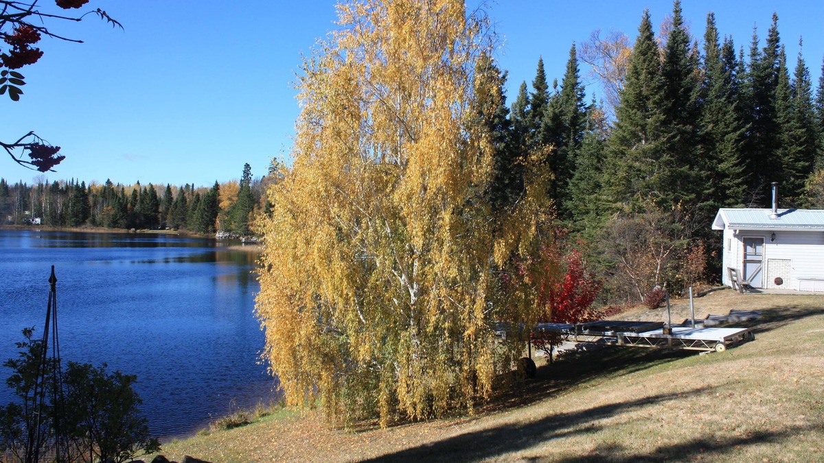 Unorganized Thunder Bay District House | Lake House