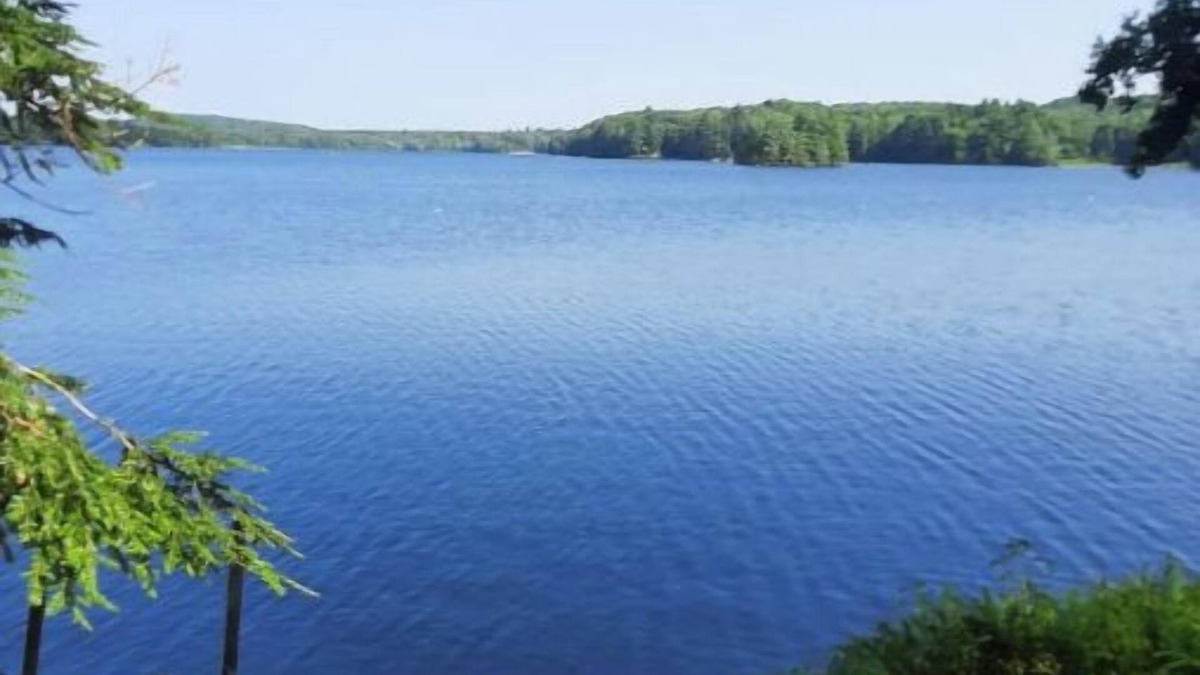 Hinesburg Cottage | Lake Iroquois. Cozy Lakeside Retreat, Close to Williston, Burlington, Skiingnn