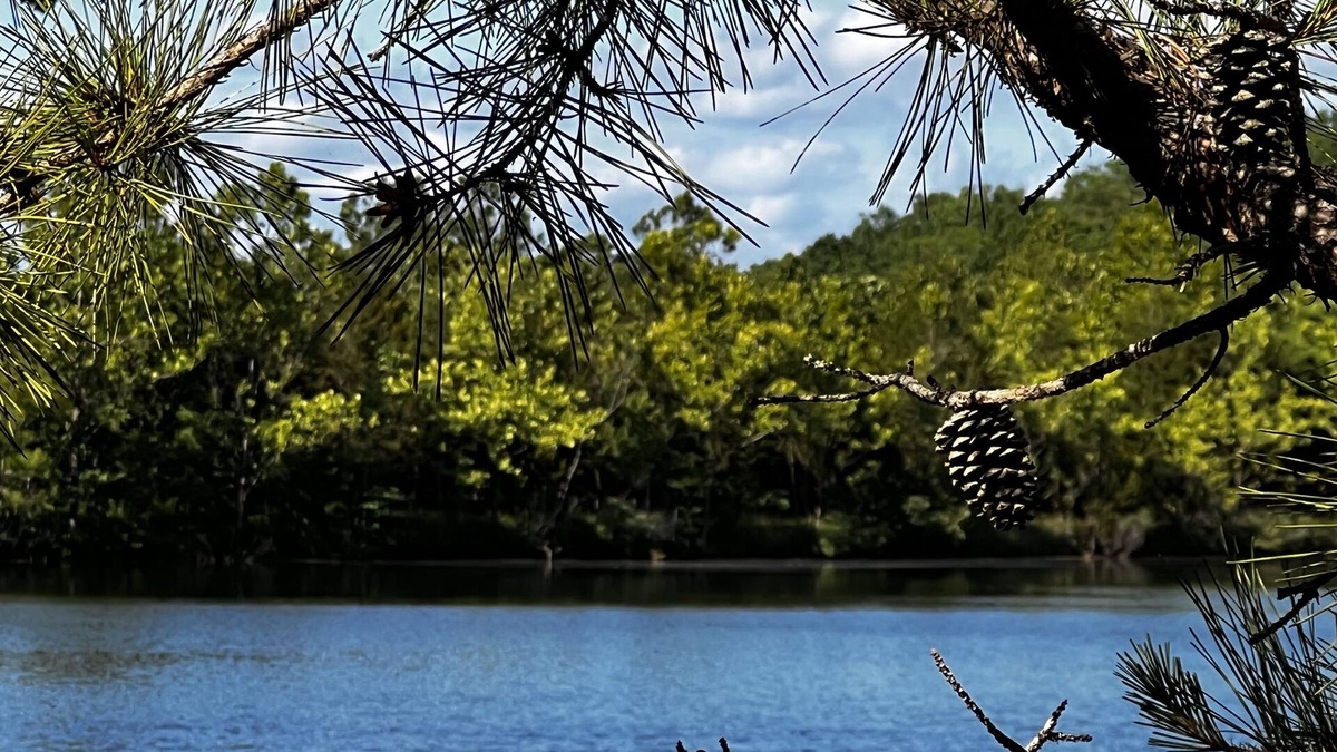 Brixey House | Lake Longbow-10 acre STOCKED lake, 80 acres, 4-wheeler/walking trails, swimming