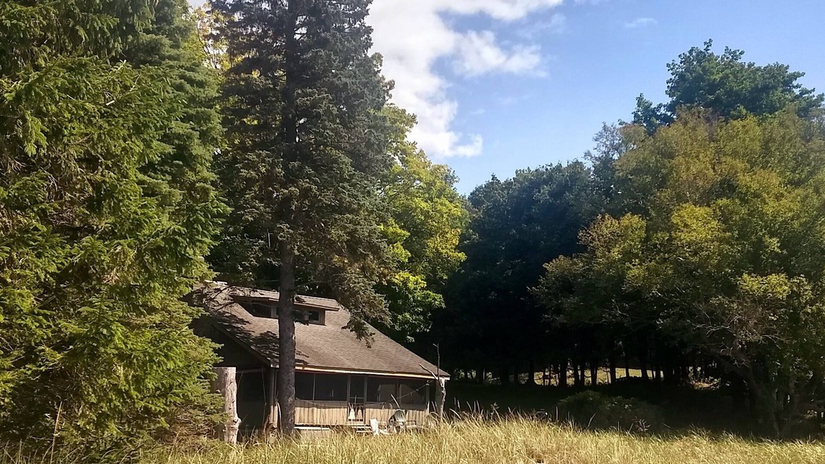 Bear Lake Cabin | Lake Michigan Vintage Waterfront