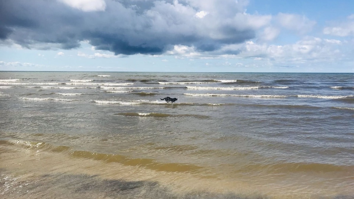 Henderson House | Lake Ontario Beach House Getaway-House #2