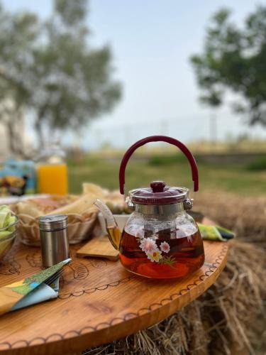 Grile Villa | Lake shkodra