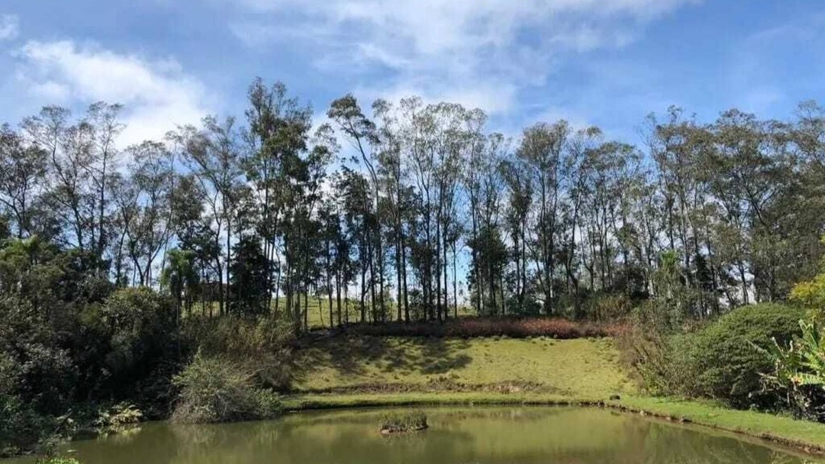 Piedade House | Lake with fish, stream with waterfall, swimming pool, orchard. Worth a look