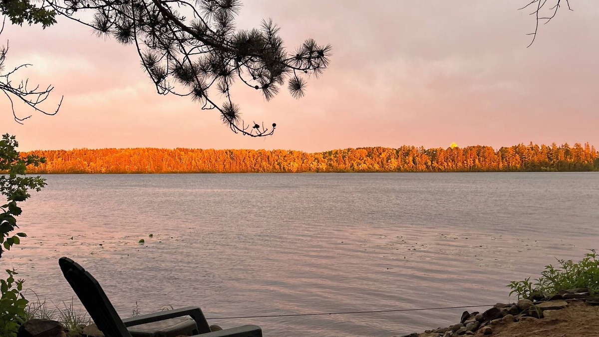 Moose Lake House | Lakefront Beach Bungalow - Retreat & Relax - Kayaks, Fire pit, Tree Swings!