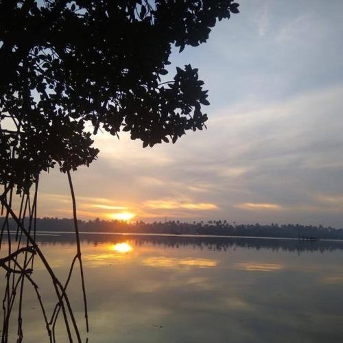 Kuzhuppilly Bed & Breakfast | Lakefront Beach Homes