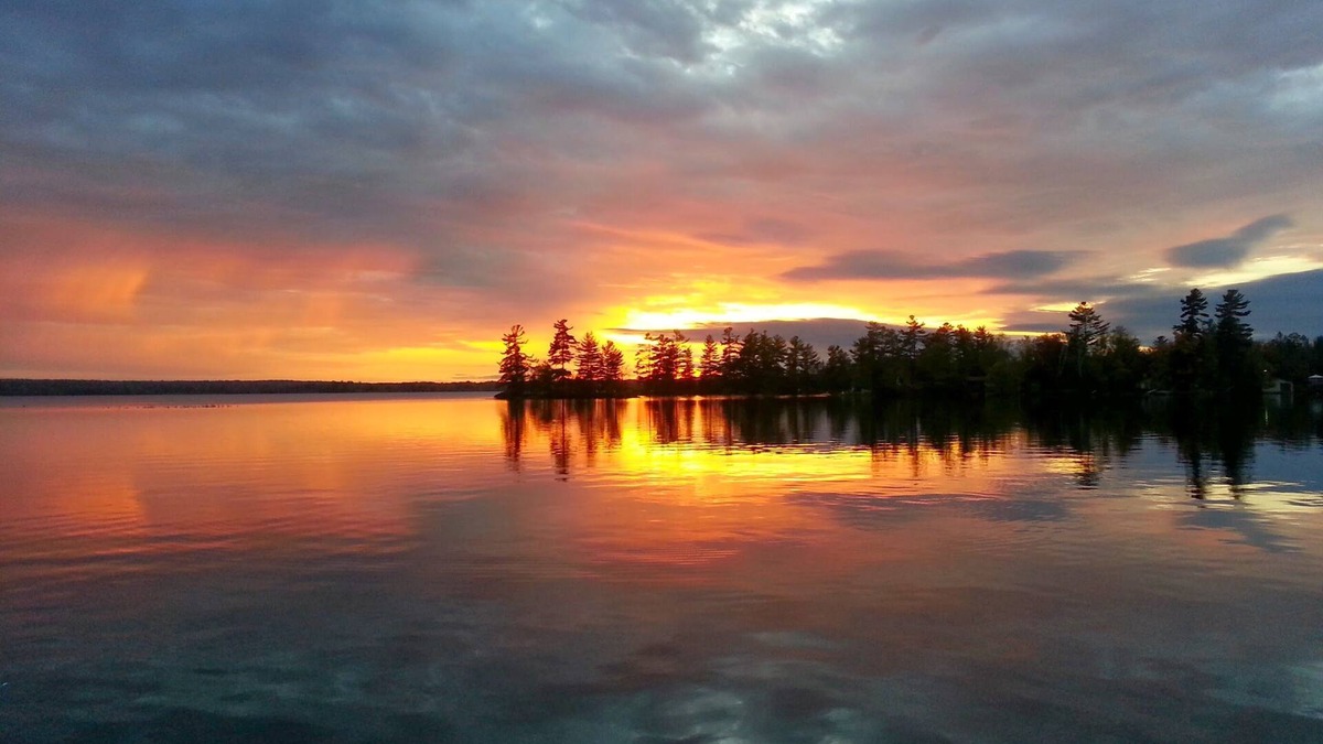 Havelock-Belmont-Methuen Cabin | Lakefront Cabin w pristine shoreline, private dock & fire pit